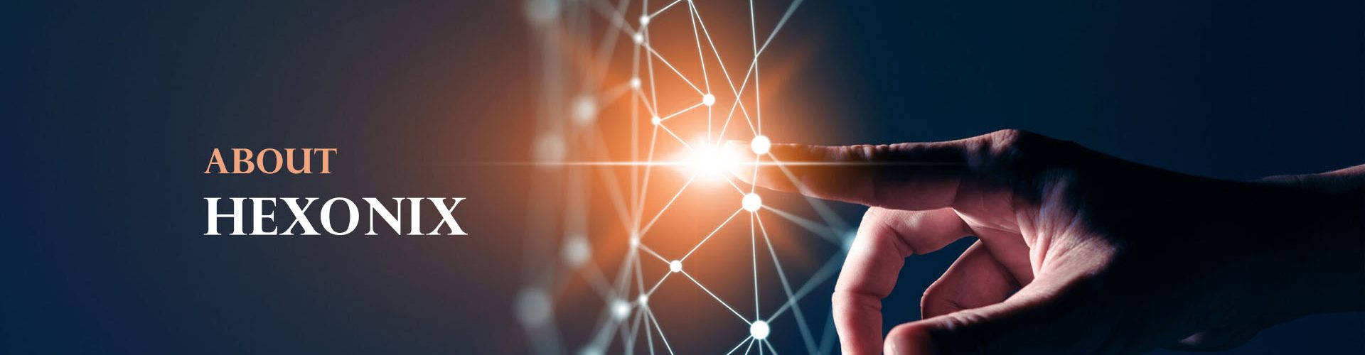 about-Hexonix